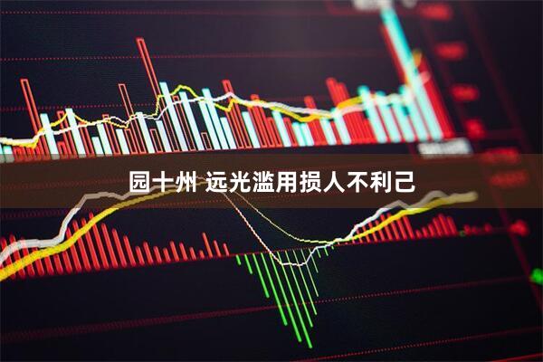 园十州 远光滥用损人不利己