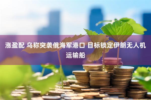 涨盈配 乌称突袭俄海军港口 目标锁定伊朗无人机运输船